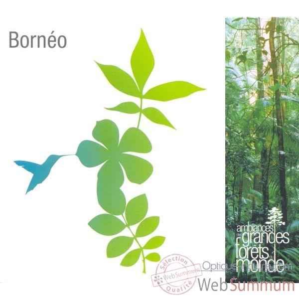 CD Sons Nature Vox Terrae Borneo -vt0183